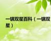 一锅双星百科（一锅双星）