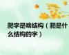 爬字是啥结构（爬是什么结构的字）