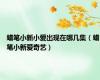 蜡笔小新小爱出现在哪几集（蜡笔小新爱奇艺）