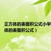 正方体的表面积公式小学（正方体的表面积公式）