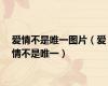 爱情不是唯一图片（爱情不是唯一）