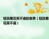 轻抚菊花笑不语的意思（轻抚菊花笑不语）
