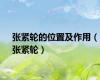 张紧轮的位置及作用（张紧轮）