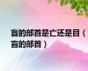 盲的部首是亡还是目（盲的部首）