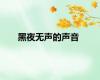 黑夜无声的声音