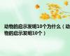 动物的启示发明10个为什么（动物的启示发明10个）