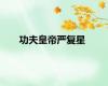 功夫皇帝严复星