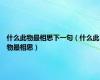 什么此物最相思下一句（什么此物最相思）