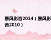 暴风影音2014（暴风影音2010）