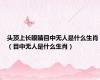 头顶上长眼睛目中无人是什么生肖（目中无人是什么生肖）