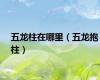 五龙柱在哪里（五龙抱柱）