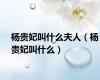 杨贵妃叫什么夫人（杨贵妃叫什么）