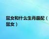 鼠女和什么生肖最配（鼠女）