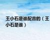 王小石是谁配音的（王小石是谁）