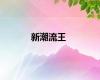 新潮流王
