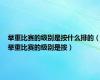 举重比赛的级别是按什么排的（举重比赛的级别是按）