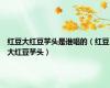 红豆大红豆芋头是谁唱的（红豆大红豆芋头）