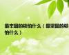 最牢固的锁怕什么（最坚固的锁怕什么）