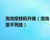 泡泡堂挂机升级（泡泡堂不死挂）