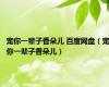 宠你一辈子香朵儿 百度网盘（宠你一辈子香朵儿）