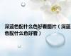 深蓝色配什么色好看图片（深蓝色配什么色好看）