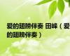 爱的翅膀伴奏 田峰（爱的翅膀伴奏）