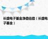 长盛电子基金净值估值（长盛电子基金）