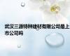 武汉三源特种建材有限公司是上市公司吗