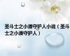 圣斗士之小潘守护人小说（圣斗士之小潘守护人）