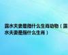 露水夫妻是指什么生肖动物（露水夫妻是指什么生肖）