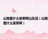 山炮是什么意思啊山东话（山炮是什么意思啊）