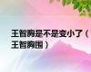 王智胸是不是变小了（王智胸围）