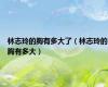 林志玲的胸有多大了（林志玲的胸有多大）