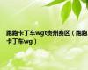 跑跑卡丁车wgt贵州赛区（跑跑卡丁车wg）