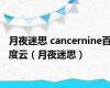 月夜迷思 cancernine百度云（月夜迷思）
