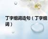 丁字组词造句（丁字组词）