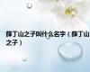 薛丁山之子叫什么名字（薛丁山之子）