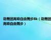 劲舞团高级自由舞步8k（劲舞团高级自由舞步）