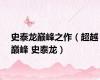 史泰龙巅峰之作（超越巅峰 史泰龙）