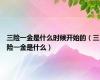 三险一金是什么时候开始的（三险一金是什么）