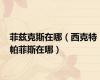 菲兹克斯在哪（西克特 帕菲斯在哪）