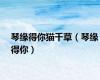 琴缘得你猫千草（琴缘得你）