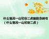 什么情况一山可容二虎脑筋急转弯（什么情况一山可容二虎）