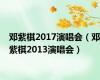 邓紫棋2017演唱会（邓紫棋2013演唱会）