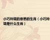 小巧玲珑的意思的生肖（小巧玲珑是什么生肖）