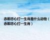 赤胆忠心打一生肖是什么动物（赤胆忠心打一生肖）