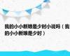 我的小小新娘是少时小说吗（我的小小新娘是少时）