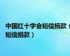 中国红十字会短信捐款（短信捐款）