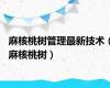 麻核桃树管理最新技术（麻核桃树）