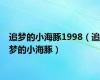 追梦的小海豚1998（追梦的小海豚）